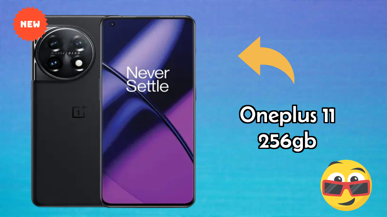 OnePlus 11 256GB Camera Quality: 50 MP + 48 MP + 32 MP Rear Camera Photo Review