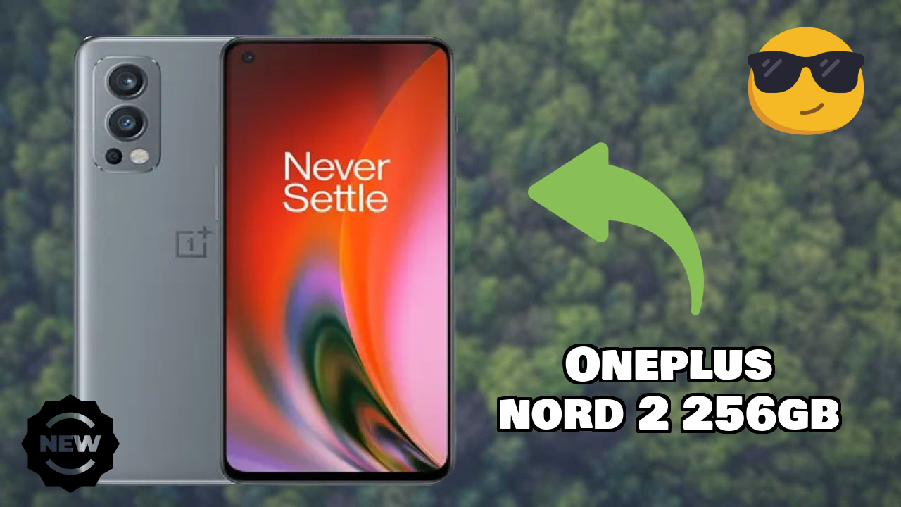 OnePlus Nord 2 256GB Camera Samples: 50 MP + 8 MP + 2 MP Rear Camera Real Photos